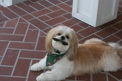 "Hi my name is Thai!! Greetings from ProCoat!"