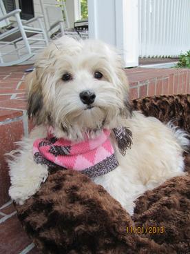 My name is Gabbi!! Thanks for visiting our website!!!